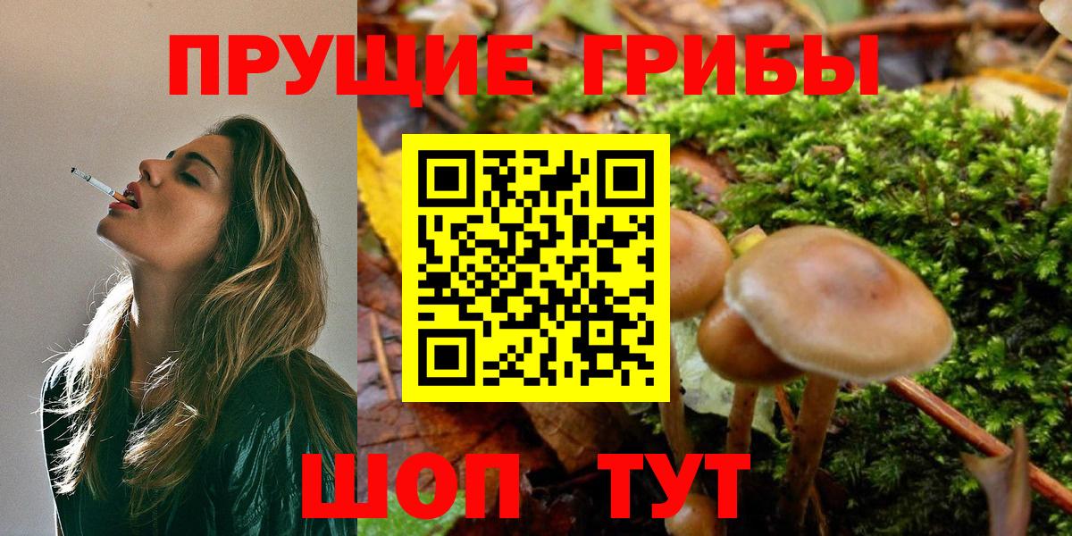 Псилоцибиновые грибы MAGIC MUSHROOMS Братск